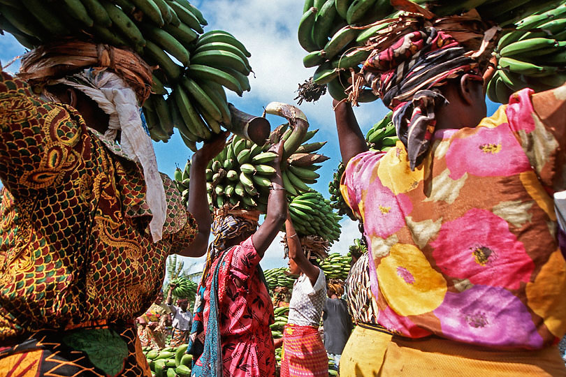 Chagga women carry cooking bananas &lt;p&gt;on their heads  – The Chagga are the  third &lt;p&gt;largest ethnic group in Tanzania.