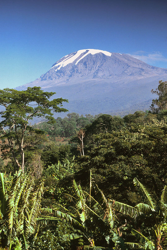 Traditionally the Chagga live on forested &lt;p&gt;southern and eastern slopes of Mount Kilimanjaro.