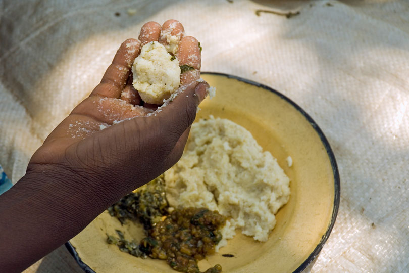 The Zambian diet is mainly composed of cereals, &lt;p&gt;predominantly maize and starchy roots.