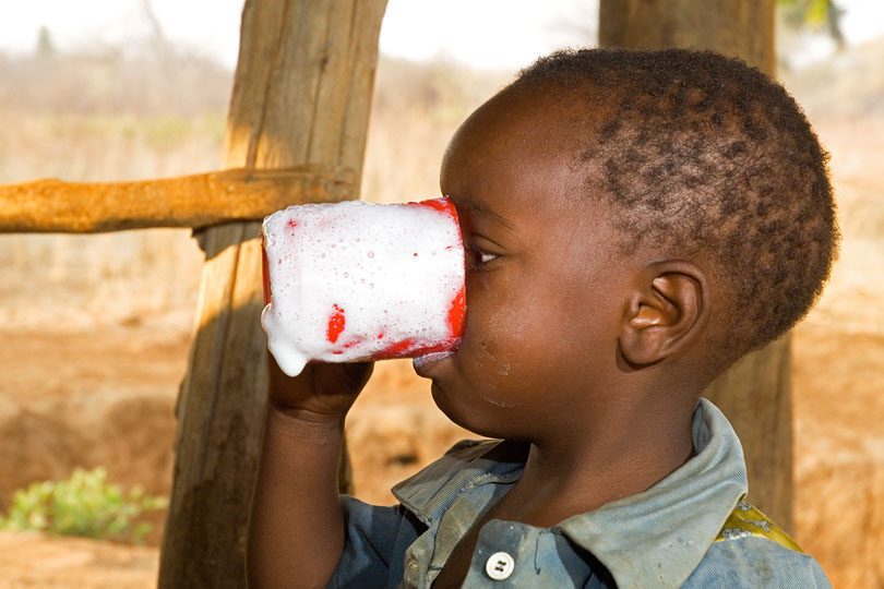 Dairy milk enhances child nutrition &lt;p&gt;in rural Zambia