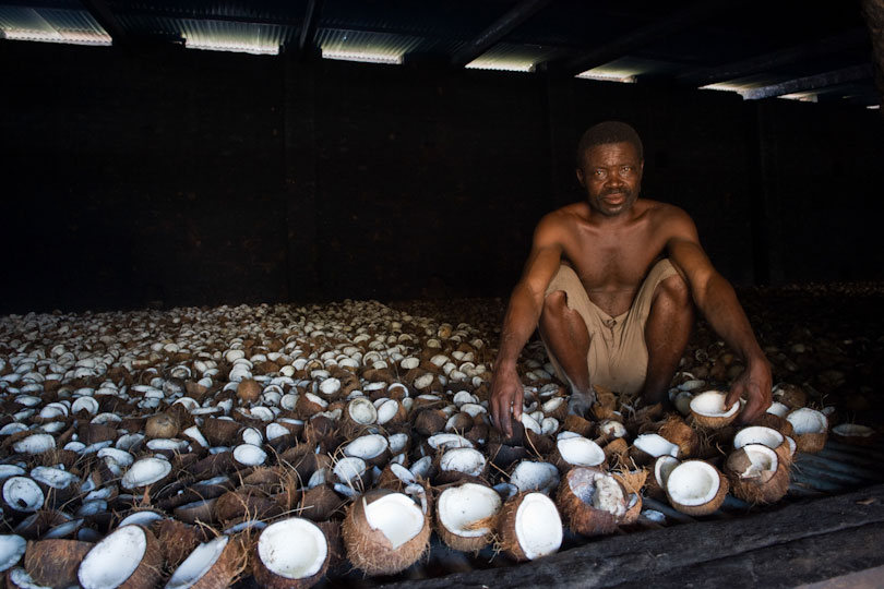 Worker drying coconuts over a heated grill, Quelimane Mozambique