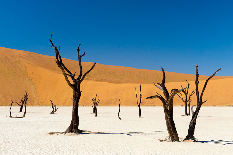 Dead Vlei at Sossusvlei Namib Naukluft Park, Namibia