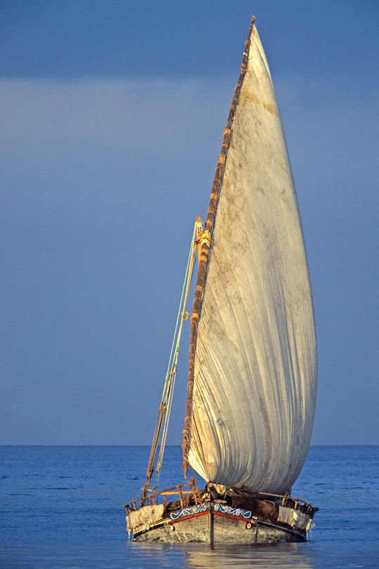 The dhow is a traditional sailing vessel&lt;p&gt; used to carry heavy items, like fruit, &lt;p&gt;spices or merchandise along the coasts